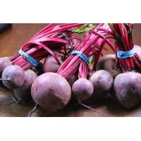 Beetroot