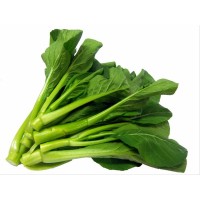 Bok Choy