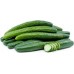 Kyuri Japanese Cucumber