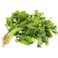 Green Spinach Green Spinach
