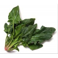 Horenso Japanese Spinach