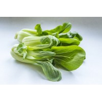 Pak Choy Pak Choy