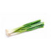 Scallion