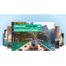 Vidnami | Grow Your Business With Video